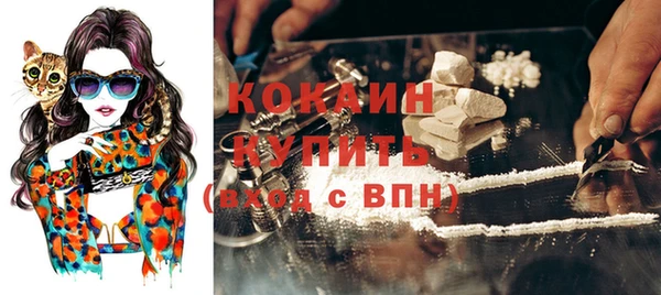 гидра Няндома