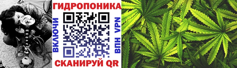Марихуана гибрид  Большой Камень 